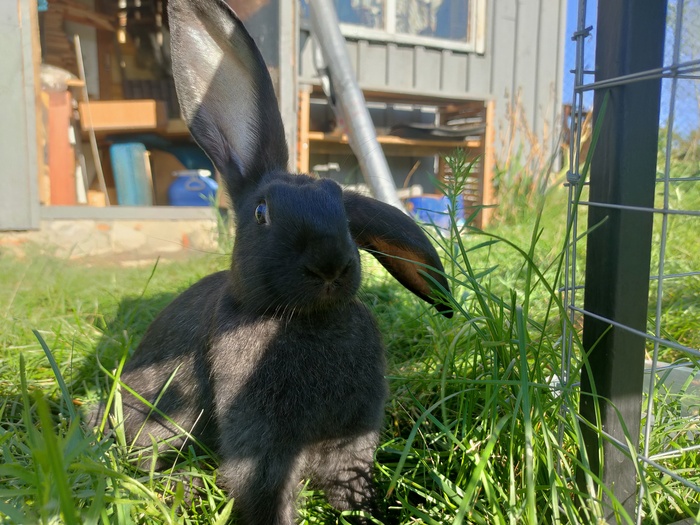 �����, ������ ������ � ������� ����� �� �����. ���� ��� �������� ���������� � ����� �����, � ������� ����������.