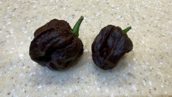 �������� ����������...