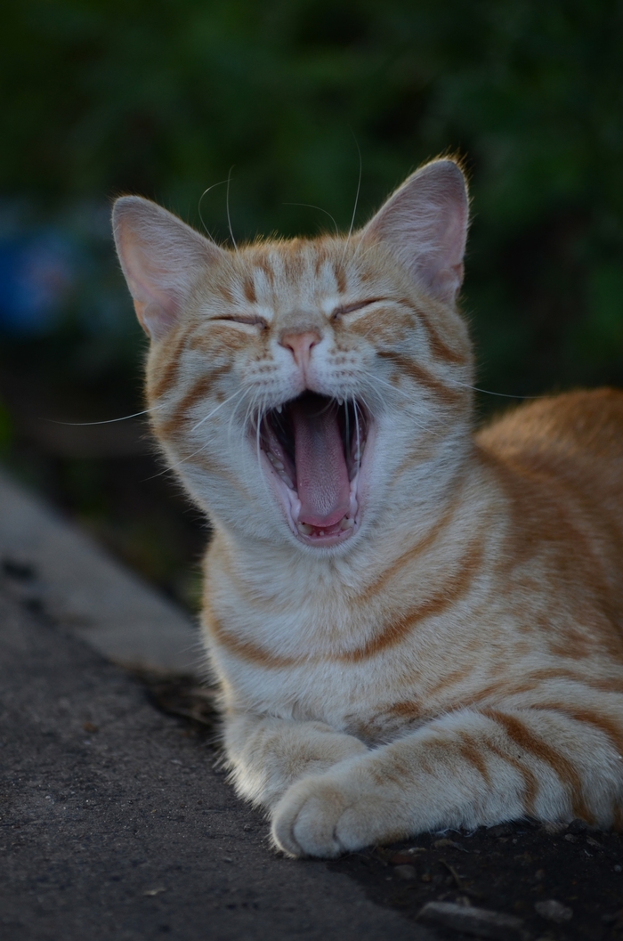 ���� �� ����, ��� ������� ���� ����...