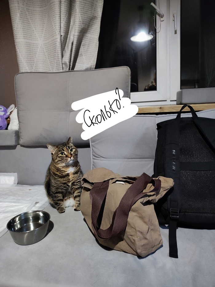 ����� ������� ��������