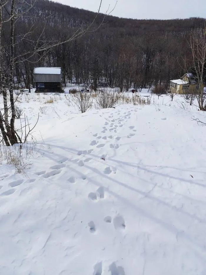 ����� �����