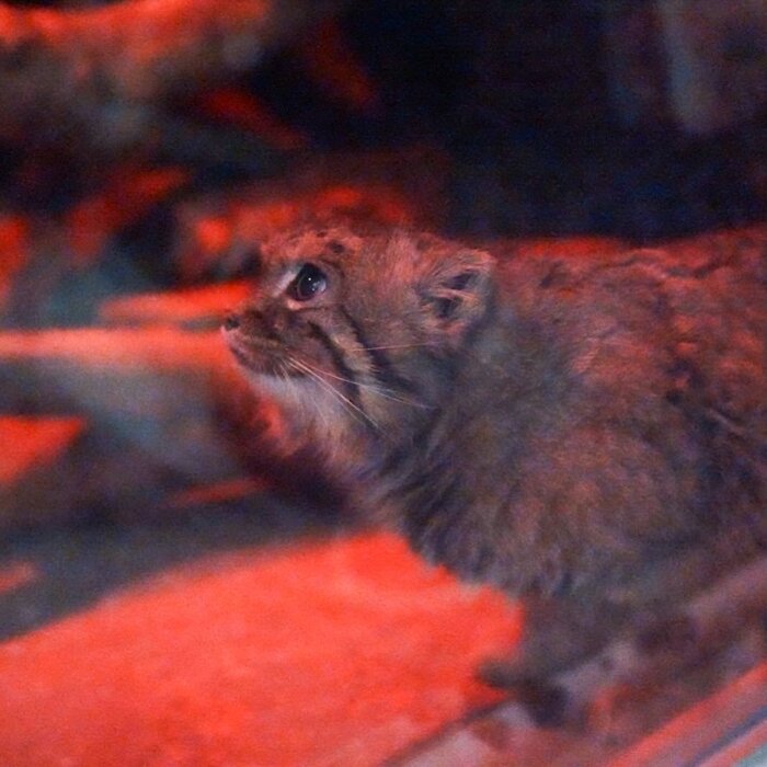 �� ������� ����� ��������!