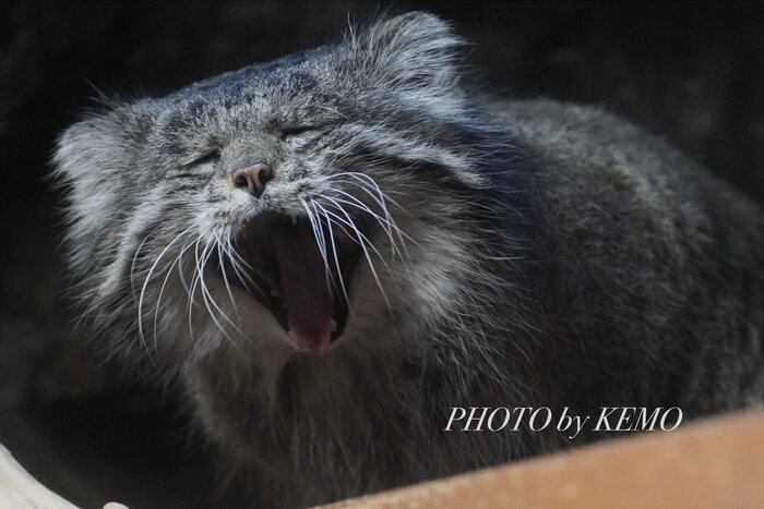 ������� ���� ...