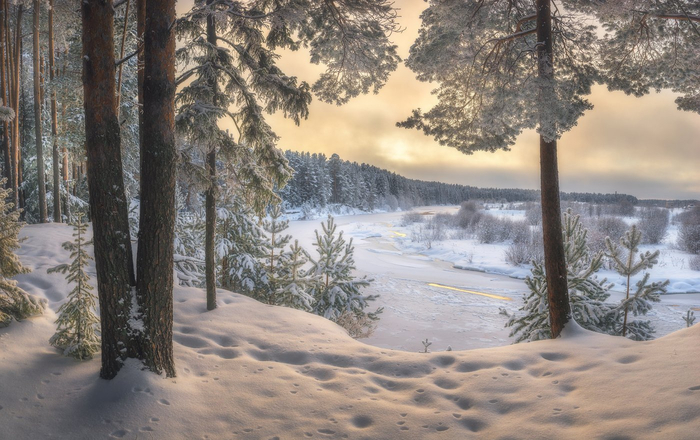 ����: ������ ��������� <a href="https://pikabu.ru/story/zima_na_sosnovom_beregu_13612741?u=https%3A%2F%2Frtraveler.ru%2Fphoto%2F1480876%2F%3Feditorial_photos%3D1&t=%D0%BE%D1%82%D1%81%D1%8E%D0%B4%D0%B0&h=7c0d88717f26c1636046d9c797d1aab0019e9666" title="https://rtraveler.ru/photo/1480876/?editorial_photos=1" target="_blank" rel="nofollow noopener">������</a>