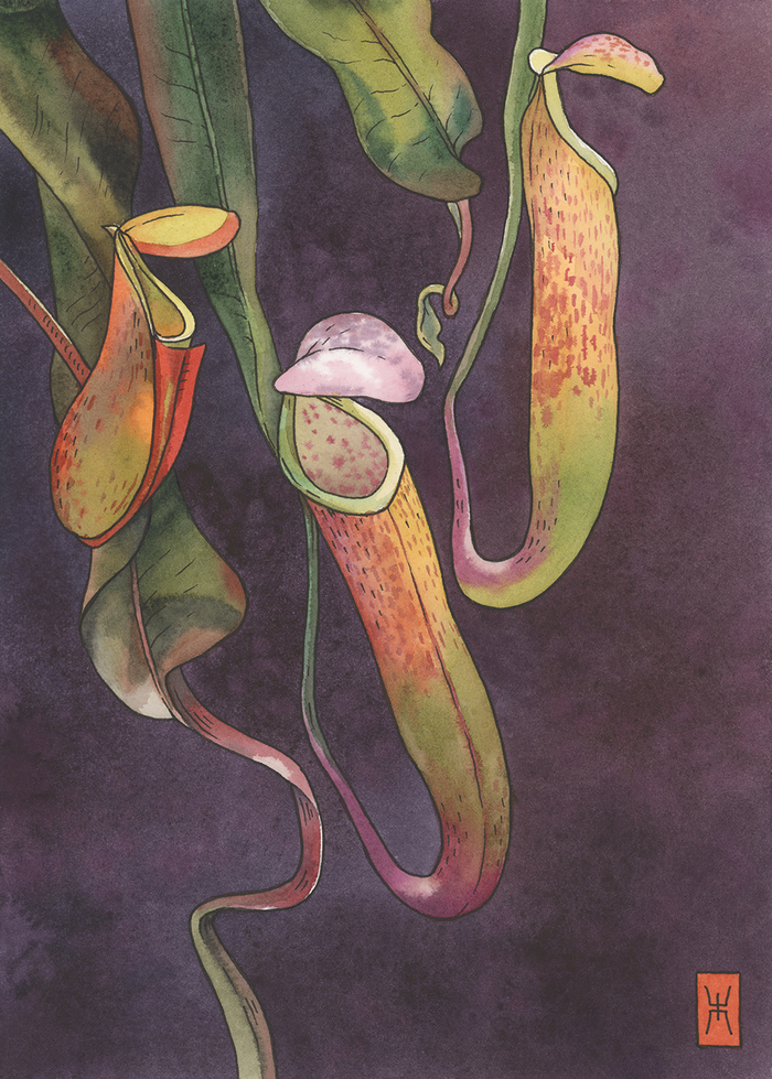 ��������, ��������� ������ �4, ������.