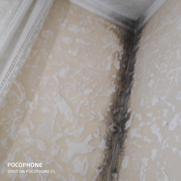 ������� �� �����