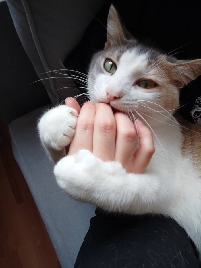 ����� �� ������� ������������� �������