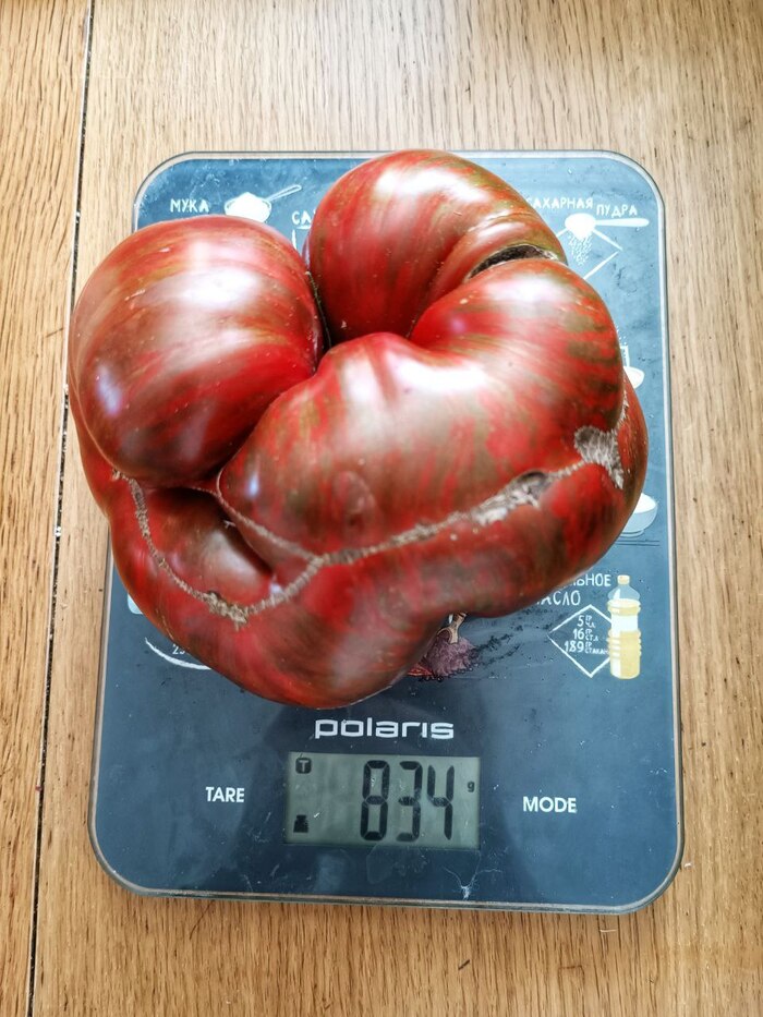 Полосатый шоколад