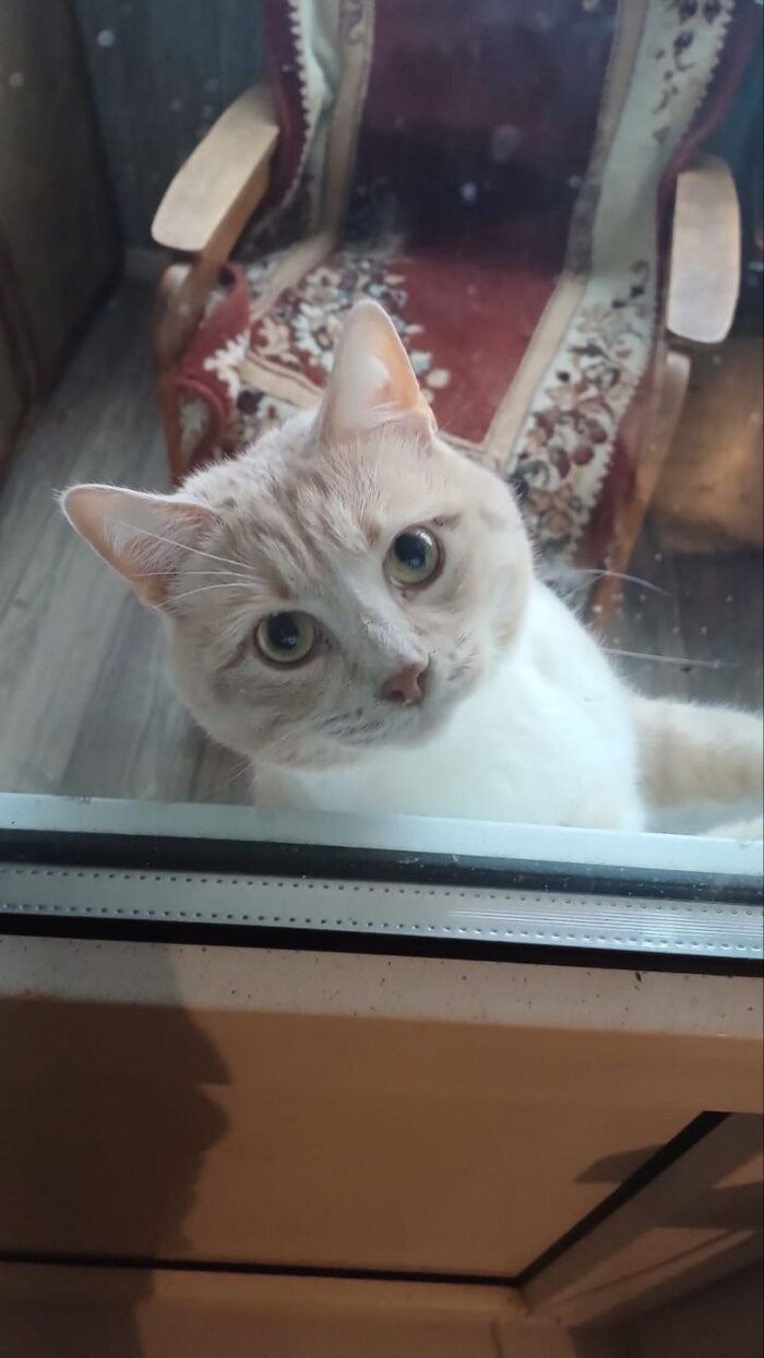 ��������� �������� ��������� �� �������