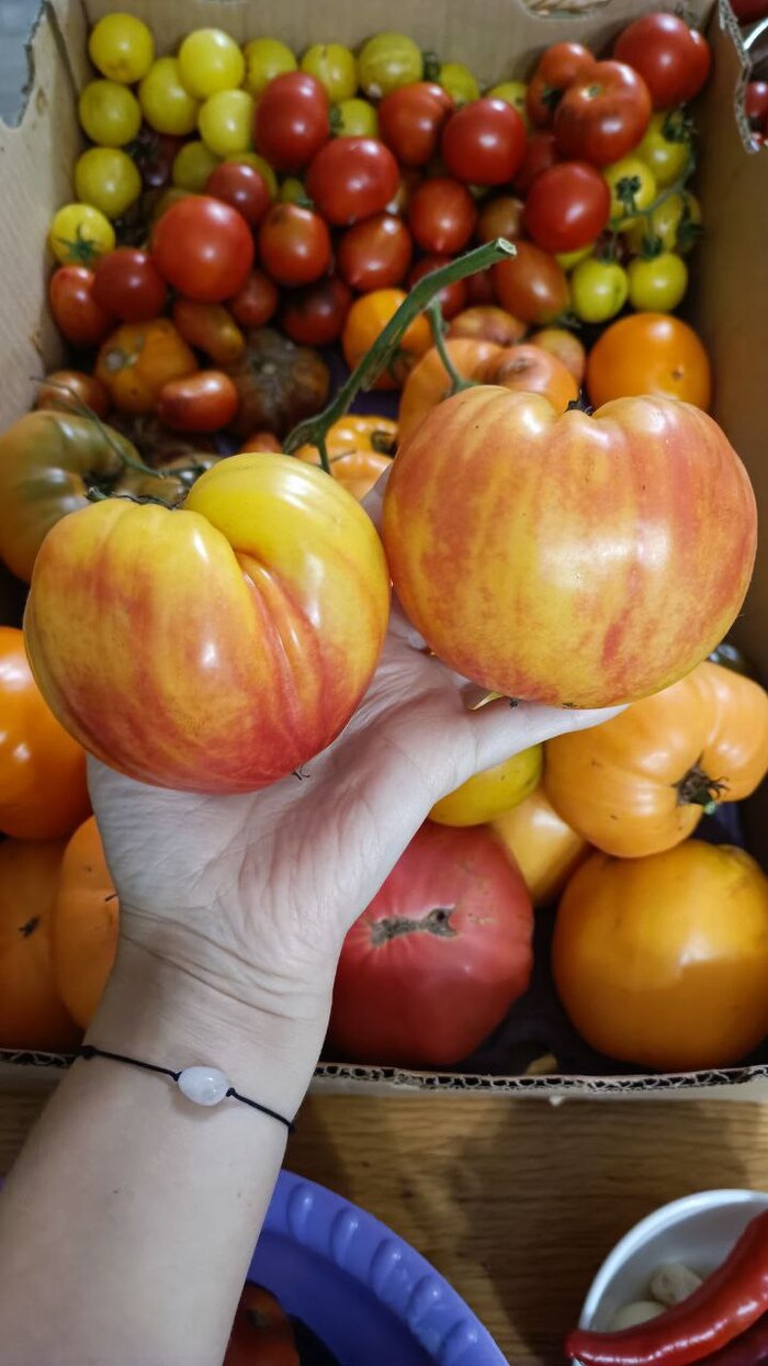 Канадское наследие