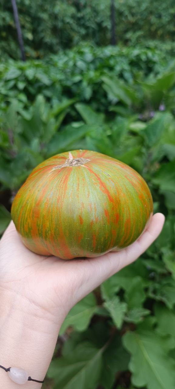 Странная вещь