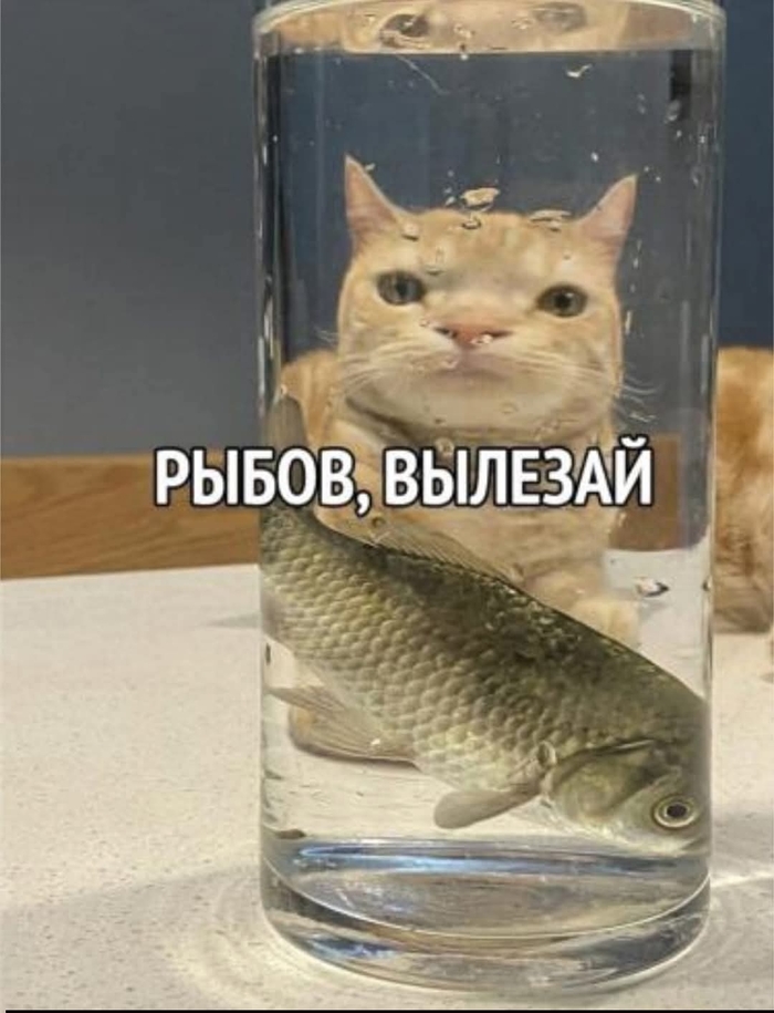 НИКЧЕМНИ КУПИЛИ СТЕКЛЯНИ ЯЩИК!