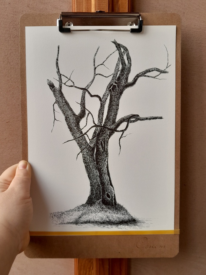 �� ������