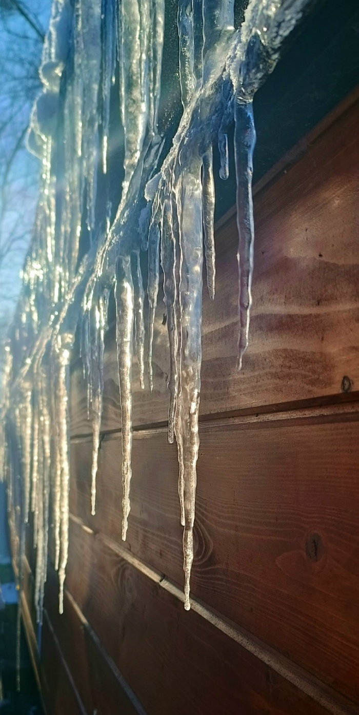 ��� �� ��������� ����� 2026 ��� (� � ���� ���������� ������� ����� �����)