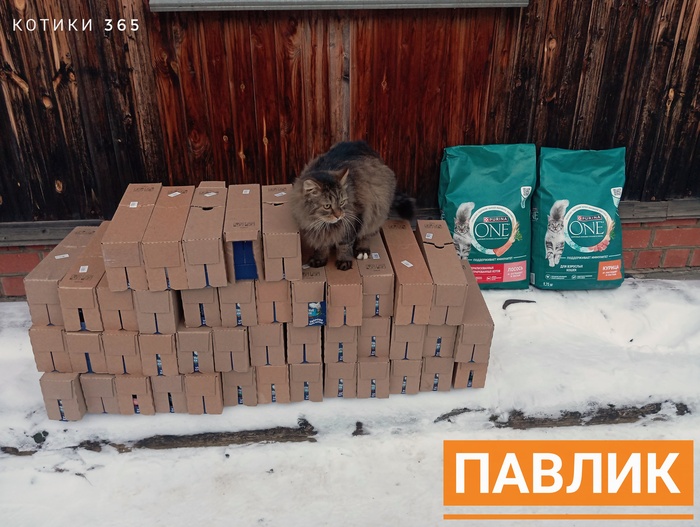 ������ 19.01.2026