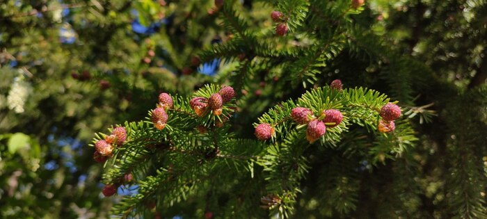 � ������ ������ ����� ���� ���, ��� �� ������� ������, �������� ����, ����� ( � �������� ������ �������� �������� ������������) ����� ��� ���������� � ���� (� ������ � ��������) � ������, ����� ���������� ��� ����������.