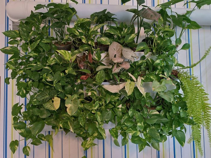 �� ��������� �����: ��������� ����������, ����������, ���������� ����