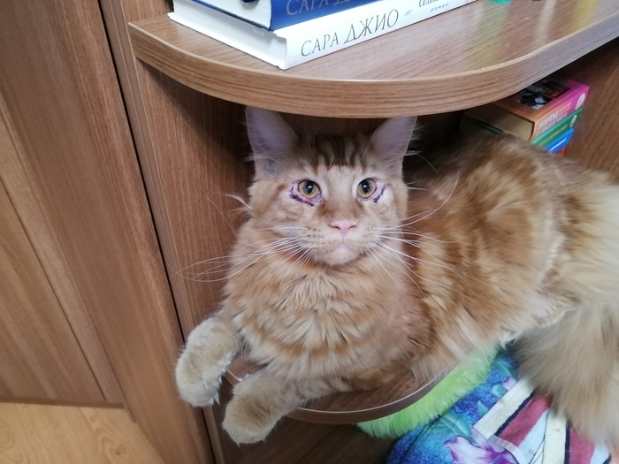 ������ 7 �������. 