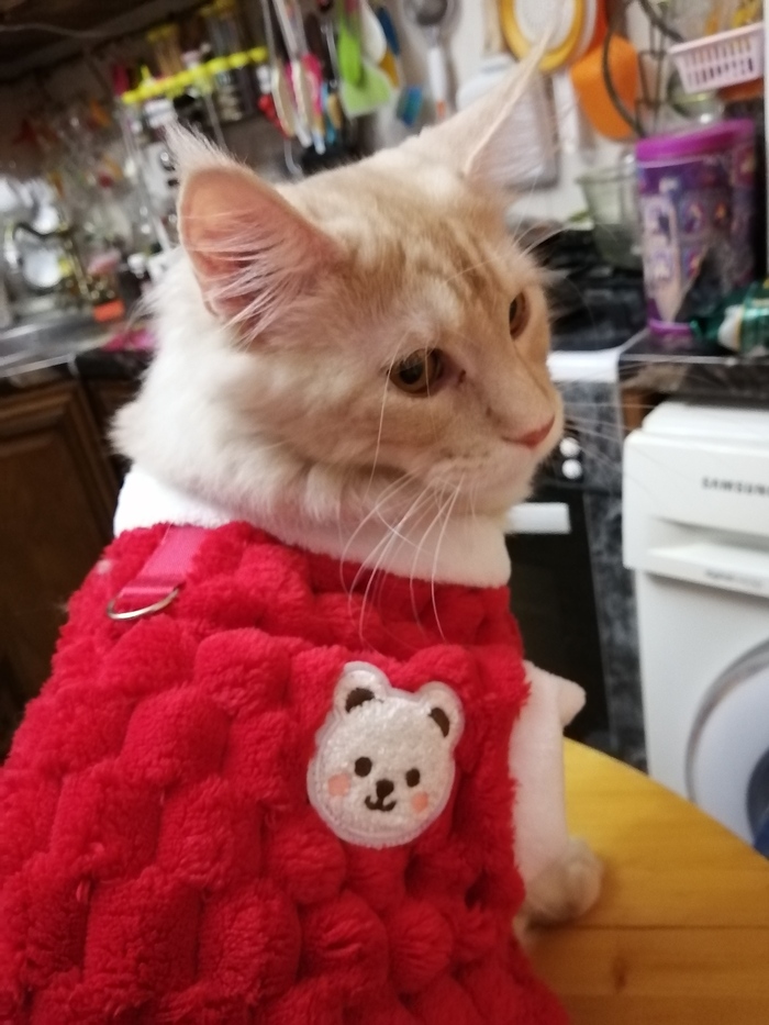 ������������ 6 �������. 