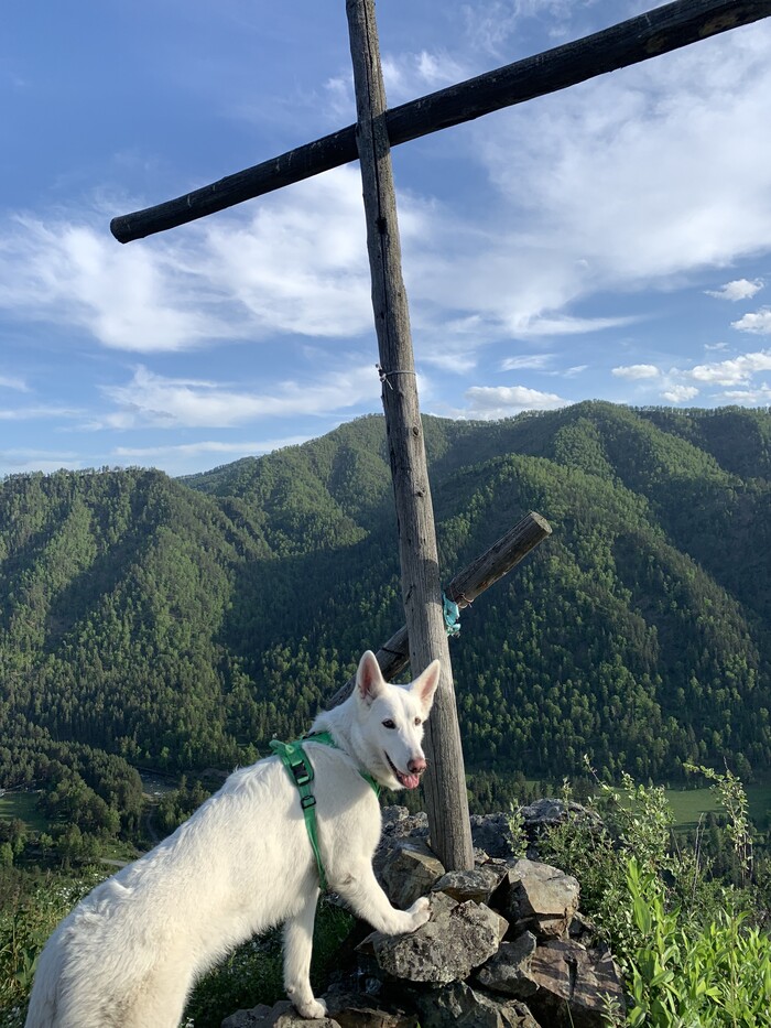 "�� ������! ��� ������ ��� ��������!"