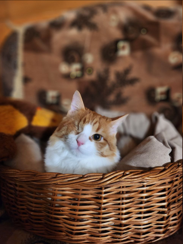 Ну и что, что тут лежала Бруня?