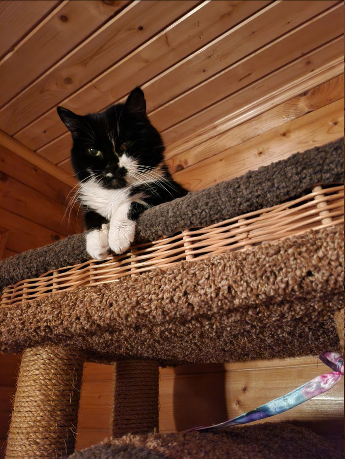 Вы кто такие? Я вас не звала!