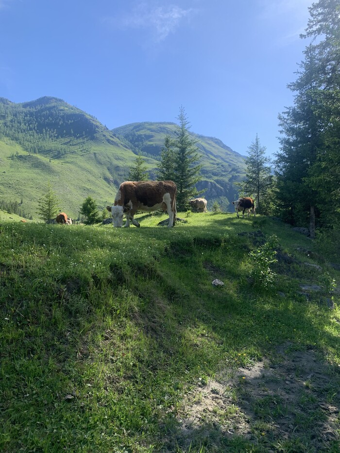 �� ����� �������� ��������� �������