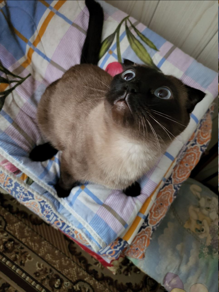 Опять эти сверху топочут!