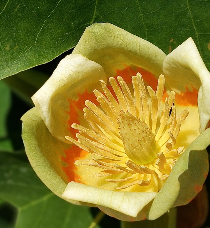 ������ ������������� ������������. ���� �. ��������.