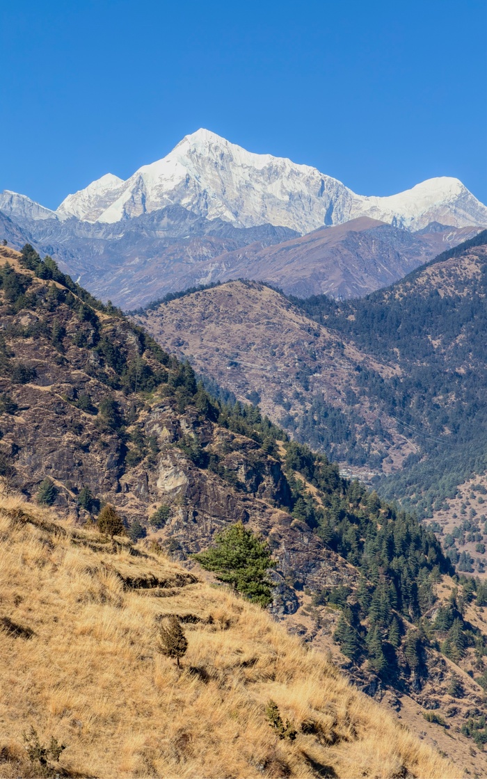 ������ �����