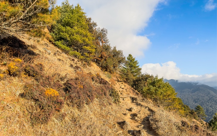 ������� ����, ���� � ������