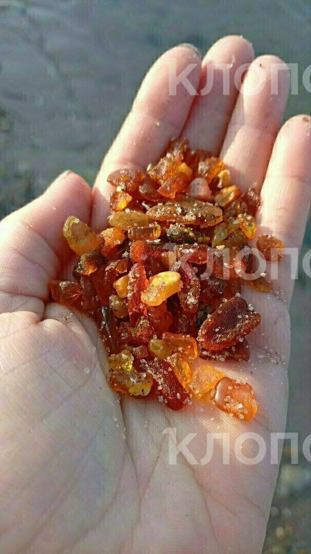 ����: �������� ������