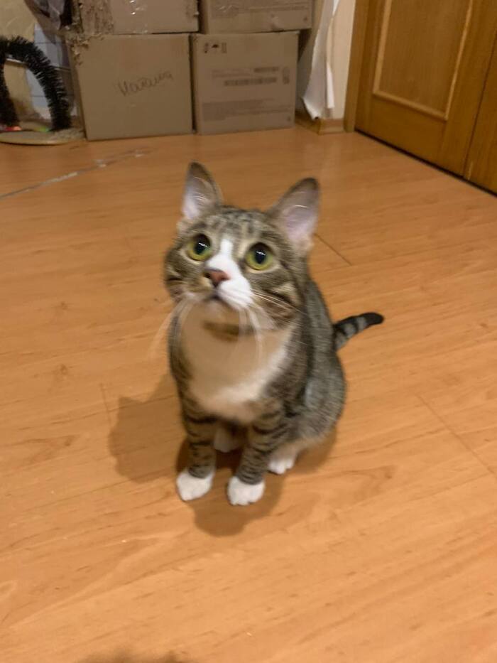 �, ����. � ����� ���� �����.