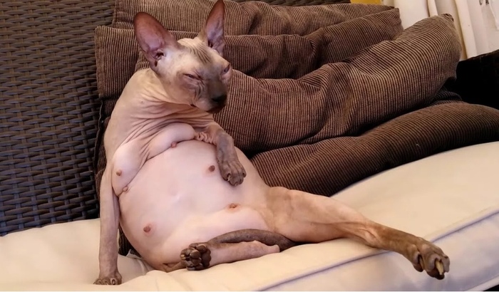 ����� �� ���� ��� ���������