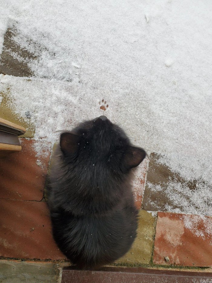 �� �����-�� � ��������