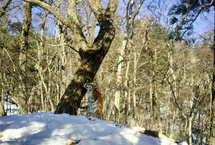 �������������� ����