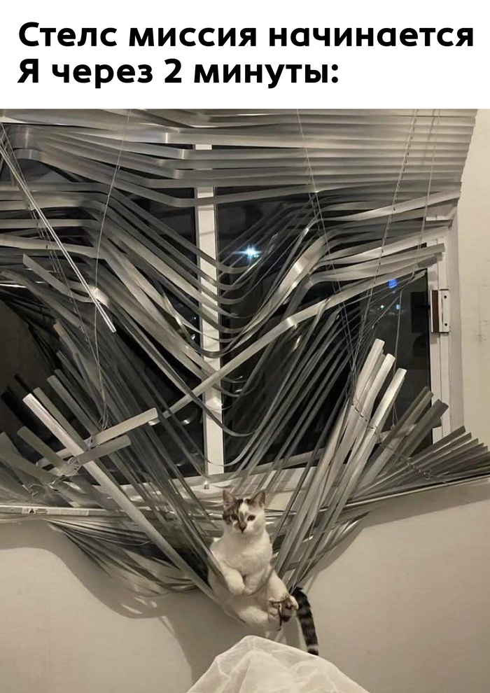 �������� �����