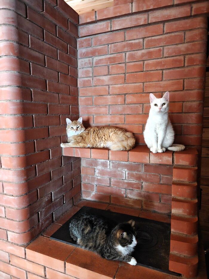 Ваши булочки готовятся. Подойдите попозже