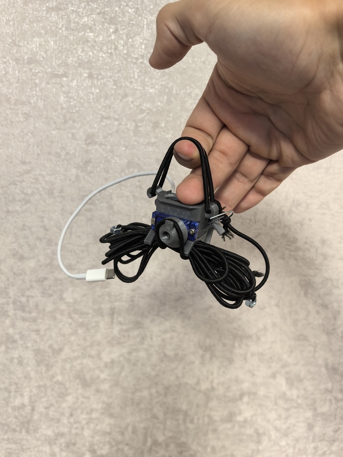 "�����" ����� ������ 100 ������������� ���