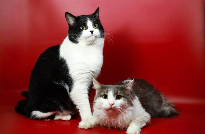 ������ � �����