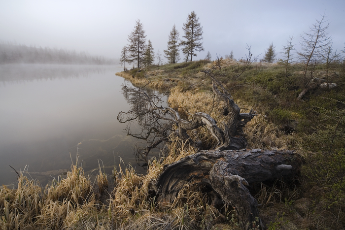 �������, ��. ������