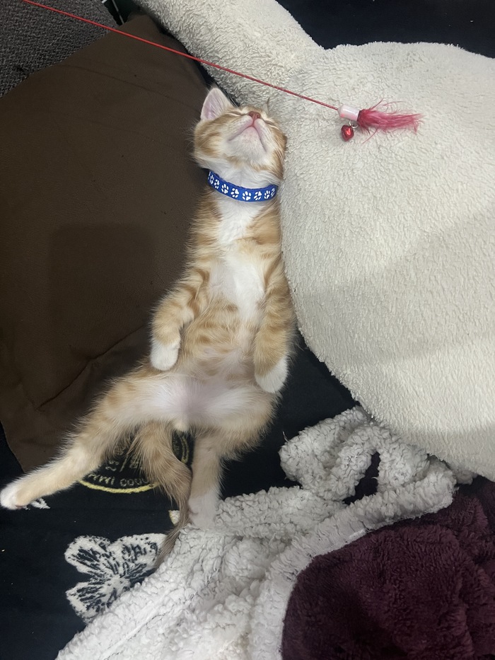 ��� ������, �� ��� ����