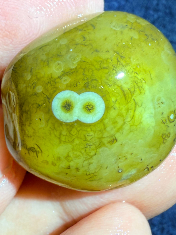 Этот сердоликовый агат удивлён происходящим )