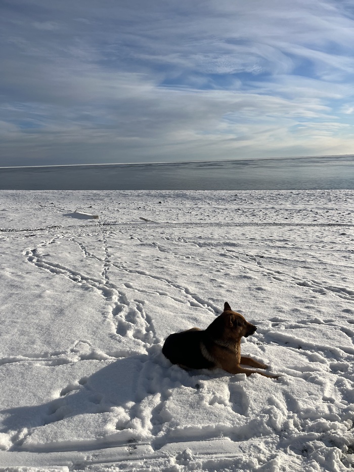 �������� ���� ���� ��������:)