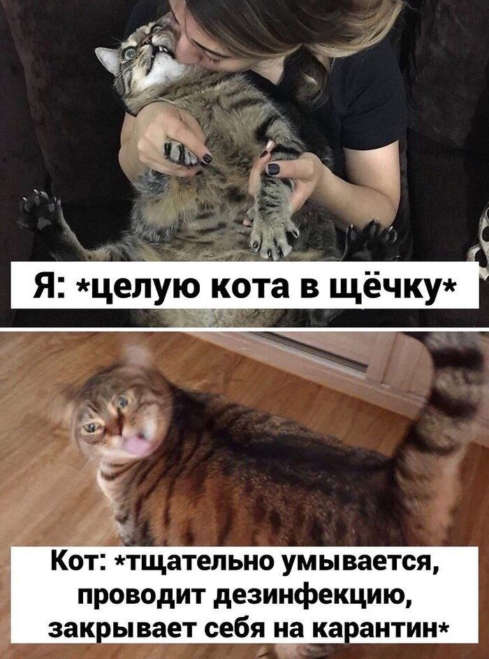 � �� ���� ��� �������� �� ���