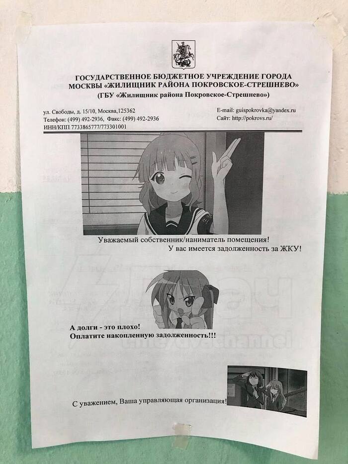 ����������, ��� �������!