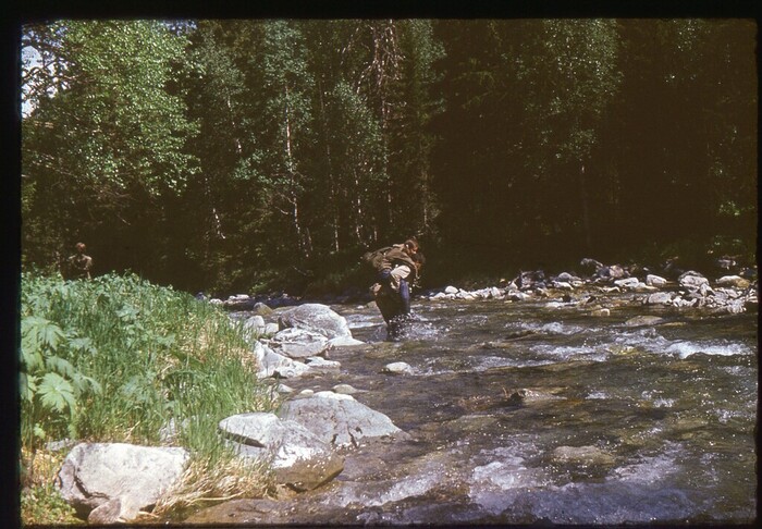 ������ ����������� ����.