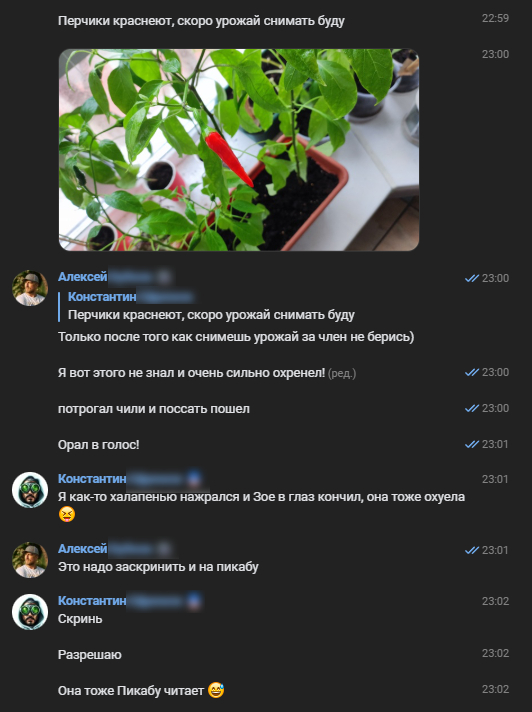 ������� ����� ����