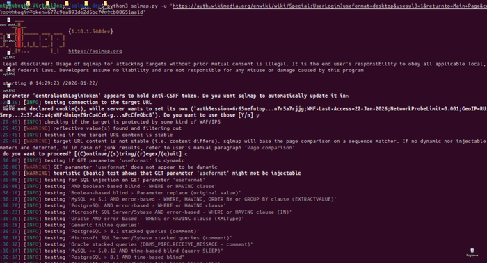 Это рабочий стол такой, с корзиной, скринами и папками