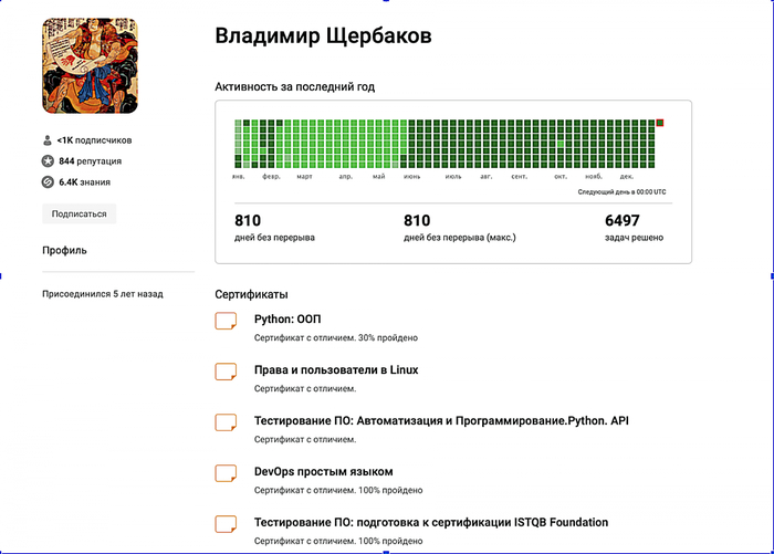 Мои результаты из личного кабинета на Stepik